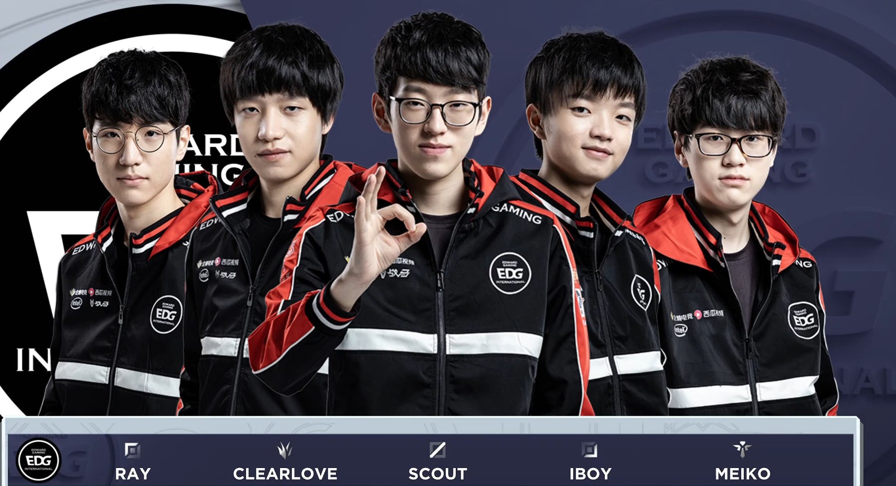 不仅展示了 不仅展示了